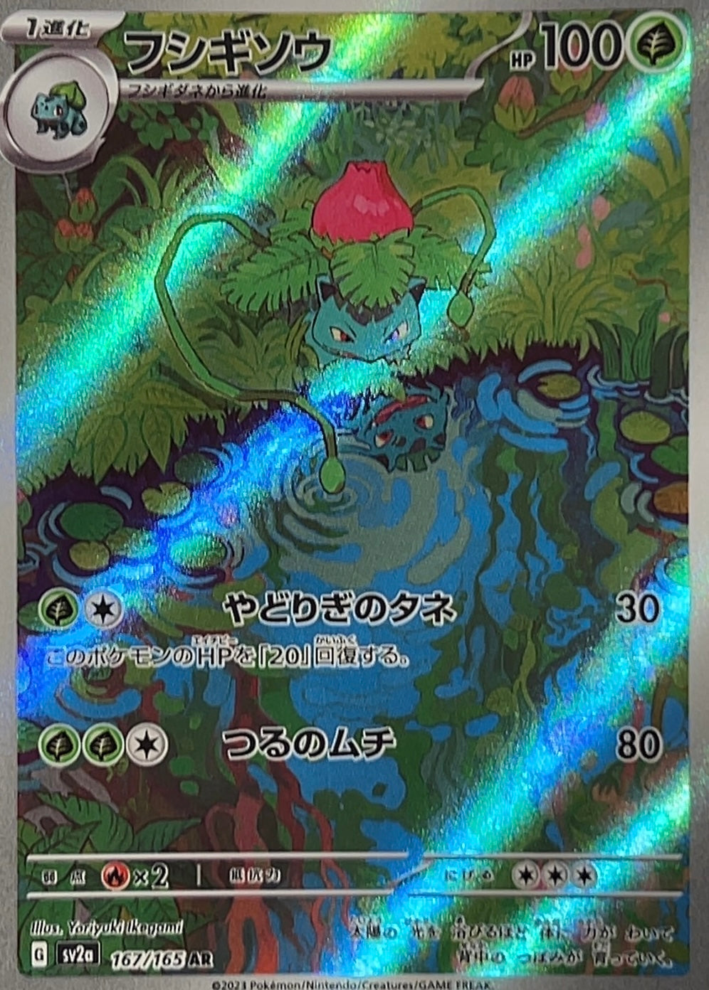 【状態A】フシギソウ AR【sv2a】【167/165】